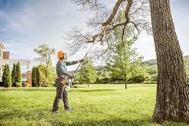 Best Commercial Tree Services  in Big Timber, MT